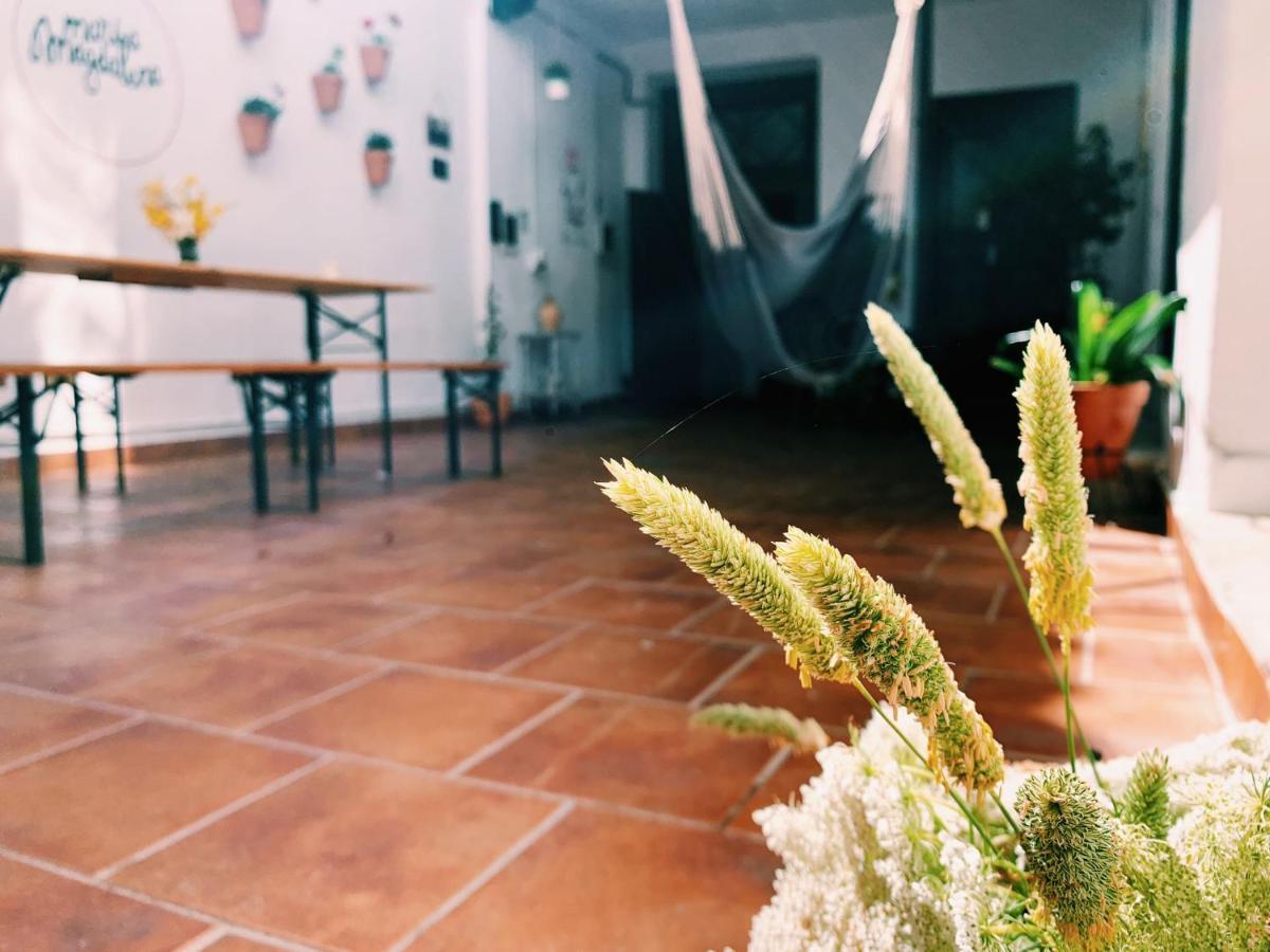 Maria Magdalena - Room 1 Malaga Exterior photo